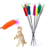 Feather cat toy
