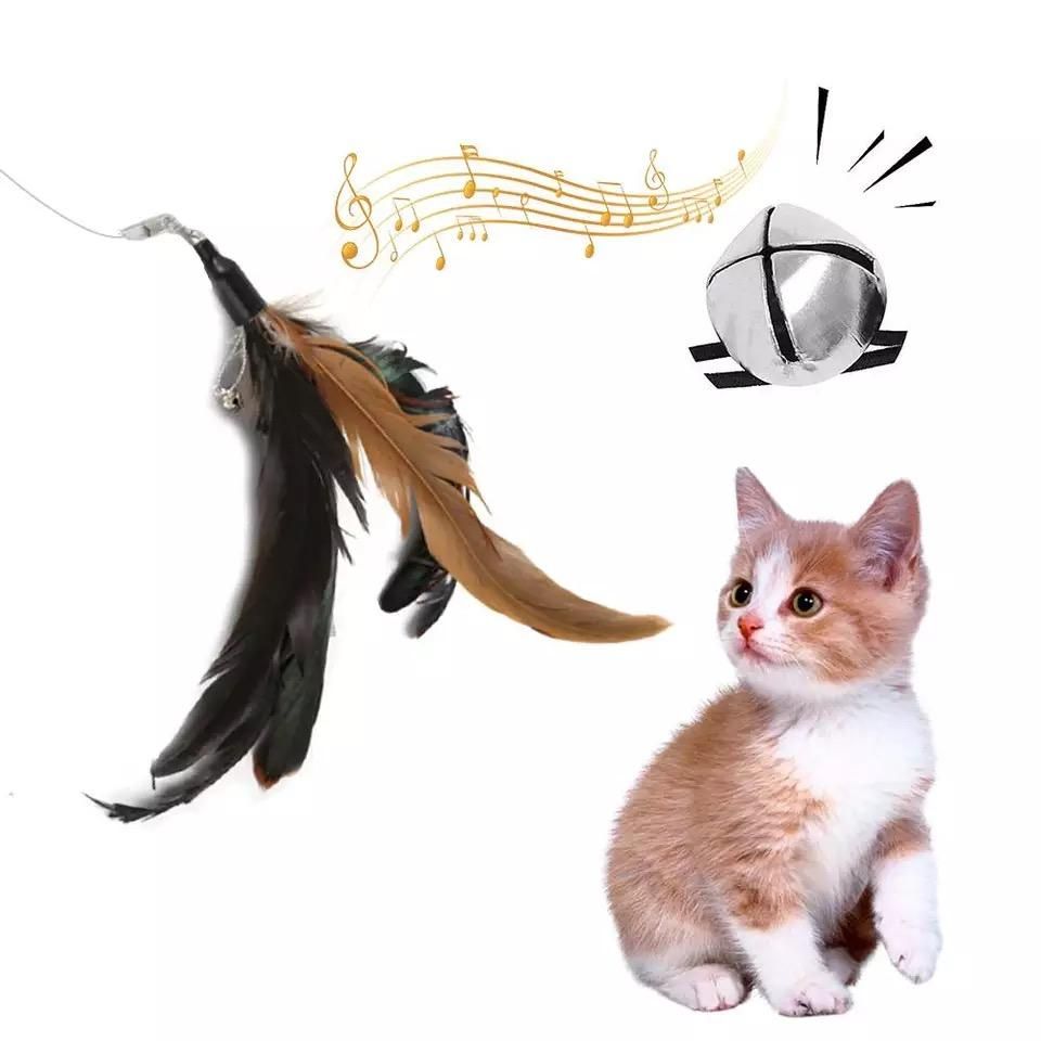 5pcs MultiColor Cat Toys with Springs, Telescopic