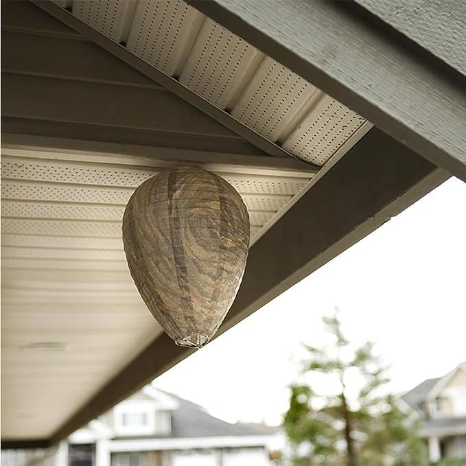 6pcs Non-Toxic Paper Wasp Traps, Wasp Nest Deterrent for Bees