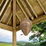 6pcs Non-Toxic Paper Wasp Traps, Wasp Nest Deterrent for Bees - Rear View