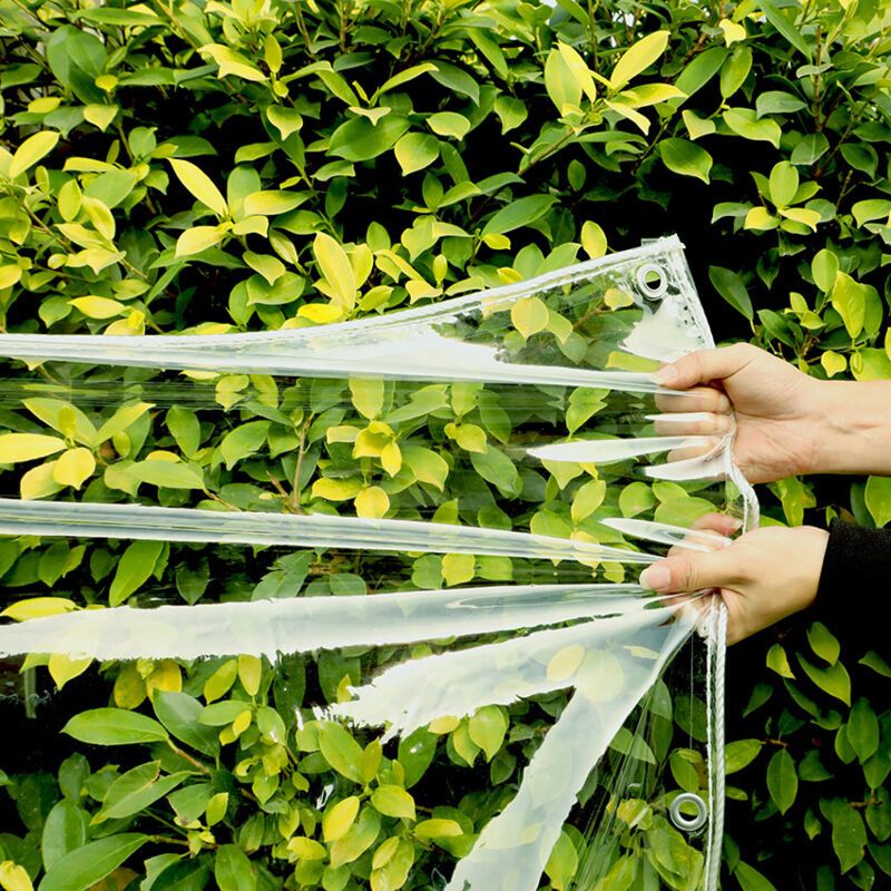 Transparent Reinforced Protective Tarpaulin 350g per Square Meter, 2 x 3M
