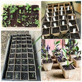 120 Pieces Biodegradable Seedling Pots, Biodegradable Pots, Biodegradable Seedling Pots for Seedlings, for Seedling Herbs, Flowers, Vegetables - Front View