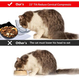 Double Cat Bowl, Cat Bowl, 15 Tilt Double Raised Cat Bowl, Double Bowl Pet Feeder with Raised Stand for Cats and Small Dogs