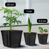 20 Pieces Seedling Pots, Nursery Pots, Reusable Plastic Square Seedling Pot Seedling Pots Transplanting Pot Growing Pot Planting, 5.5cm - Top-Down View
