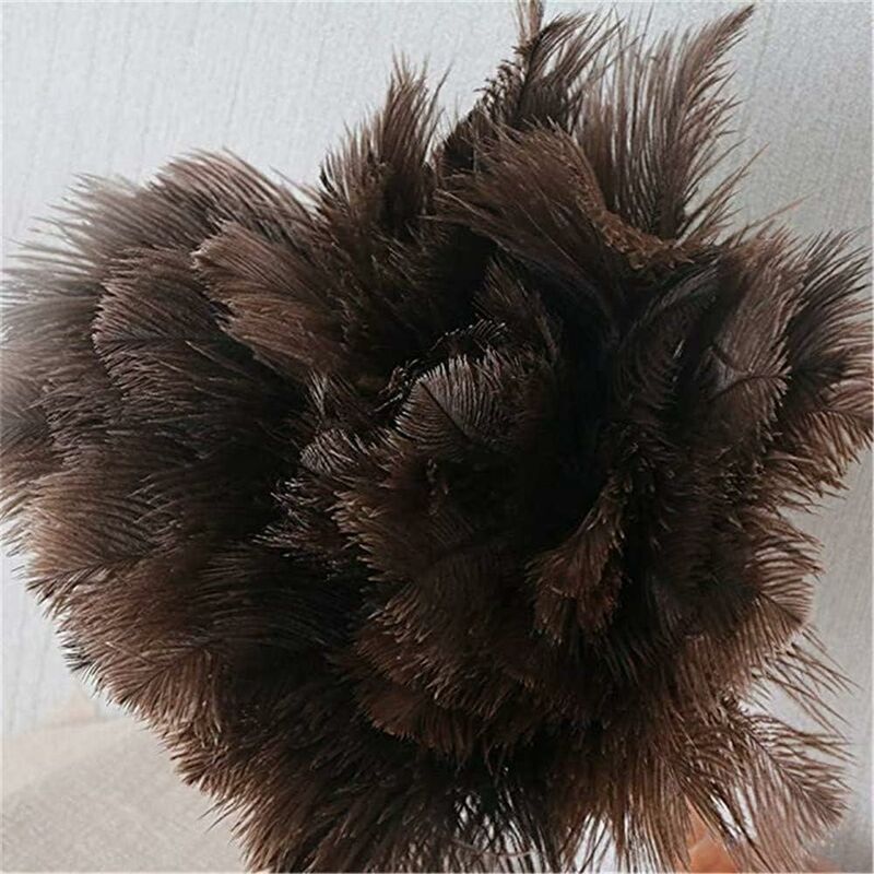 Feather Dusters for Home and Office, Ostrich Feathers, Ostrich Feather Dusters, Natural Ostrich Feathers