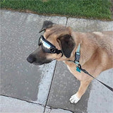 Dog Goggles UV Protection Windproof Waterproof for Medium and Large Dogs, 21 cm