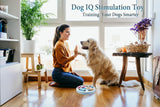 Interactive Dog Puzzle Slow Feeder for All Dog Breeds - Top-Down View