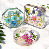 Silicone Resin Coaster Mold 6 Compartments Extra Deep - Side View