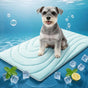 Cooling Mat for Dogs, 36"x23" Self-Cooling Pet Bed - Advanced Arc-Chill Technology 3.0 for Instant Cool, Non-Slip Washable Floor Mat for Small & Medium Dogs, Indoor Outdoor Use - Blue