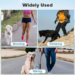 Dog Leash 6 FT with Comfortable Padded Handle, Training Loop Leash with Highly Reflective Threading for Medium Dogs, Black