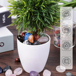 0.5LB Tumbled Stones Assorted, 0.4-0.8inch Natural Rocks Tumbled Gemstones Tumbled Chips Crystals for Healing Reiki Meditation Home Decoration Vases
