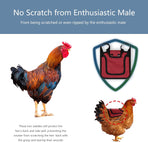 3 Piece Chicken Saddle Set Red/Blue/Purple Elastic Strap Back and Side Protection Poultry Accessories