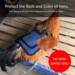 3 Piece Chicken Saddle Set Red/Blue/Purple Elastic Strap Back and Side Protection Poultry Accessories