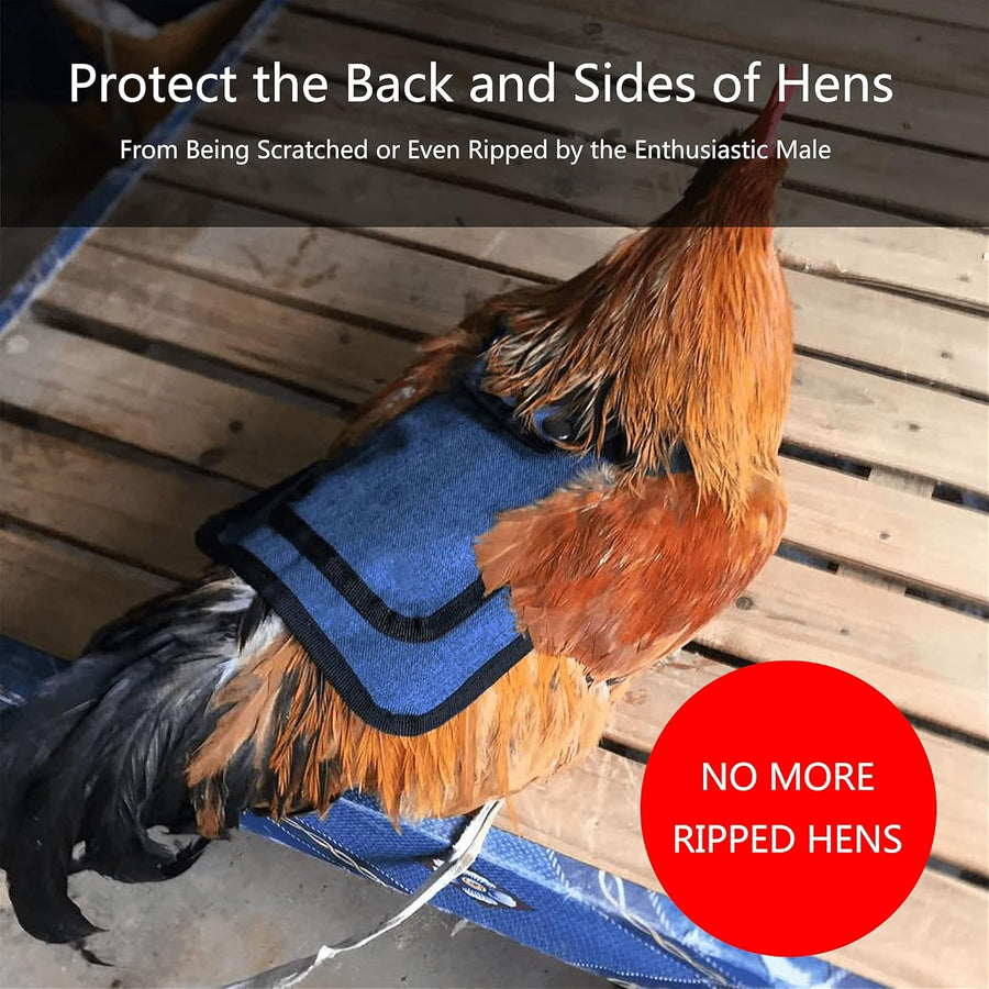 3 Piece Chicken Saddle Set Red/Blue/Purple Elastic Strap Back and Side Protection Poultry Accessories