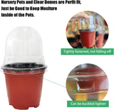 25 Pack Seedling Pots with Lids 9x14cm Reusable Mini Greenhouse Grow Trays for Propagation - Front View