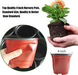 25 Pack Seedling Pots with Lids 9x14cm Reusable Mini Greenhouse Grow Trays for Propagation - Top-Down View