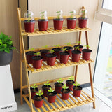 25 Pack Seedling Pots with Lids 9x14cm Reusable Mini Greenhouse Grow Trays for Propagation - 45-Degree Angle