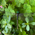 20 Pcs Dragon Fly Clips for Bugs Repellent, 3D Artificial Dragonfly Hat Clip, Dragonfly Garden Decor (20, Black*20 Pcs)