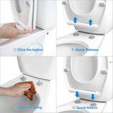 Premium Elongated Toilet Seat with Toilet Seat Bumpers - Rear View