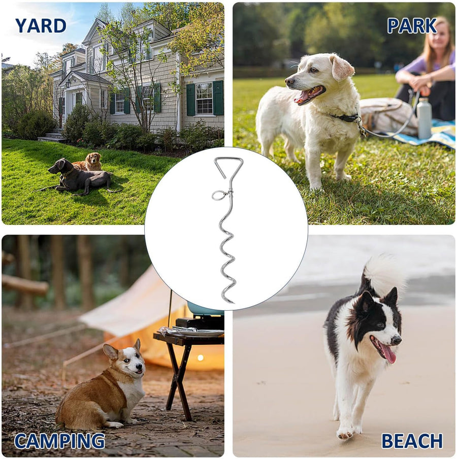 Dog Stake & Leak-Proof Upright Water Cup Set