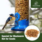 Upgraded Bluebird Feeder for Outdoors Hanging, Metal Mealworm Tube Bird Feeder with Widen Perch for Wild Birds, Squirrel Chew Proof, Easy to Refill & Clean(Blue)