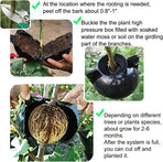 10 PCS Air Layering Propagation Kit with Zip Ties, Reusable Half Transparent Grafting Ball, Air Layering Pods Clear, Plant Rooting Grafting Box for Fast Propagation Plants (Medium)