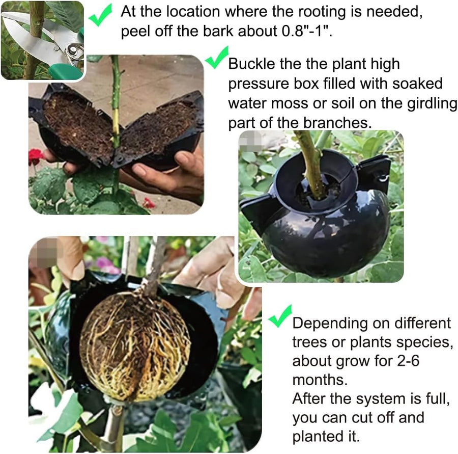 10 PCS Air Layering Propagation Kit with Zip Ties, Reusable Half Transparent Grafting Ball, Air Layering Pods Clear, Plant Rooting Grafting Box for Fast Propagation Plants (Medium)