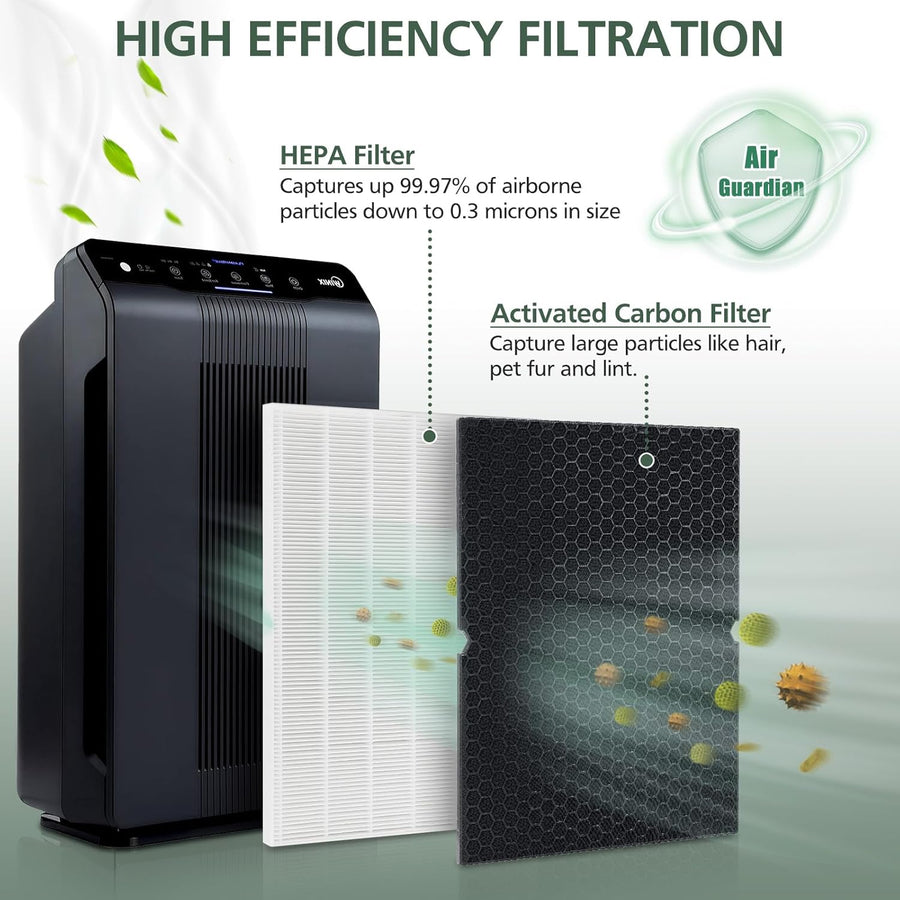 2 + 2 116130 HEPA Replacement Filter H 116130 for Winix 5500-2 Plasmawave Air Purifier and Models AM80 - HEPA Filter and Activated Carbon Filter Combo Pack