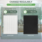 2 + 2 116130 HEPA Replacement Filter H 116130 for Winix 5500-2 Plasmawave Air Purifier and Models AM80 - HEPA Filter and Activated Carbon Filter Combo Pack
