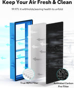 Aer1 Filter Replacement for Holmes Air Purifiers, 2 True HEPA Filters + 4 Carbon Booster Filters, HAPF30AT