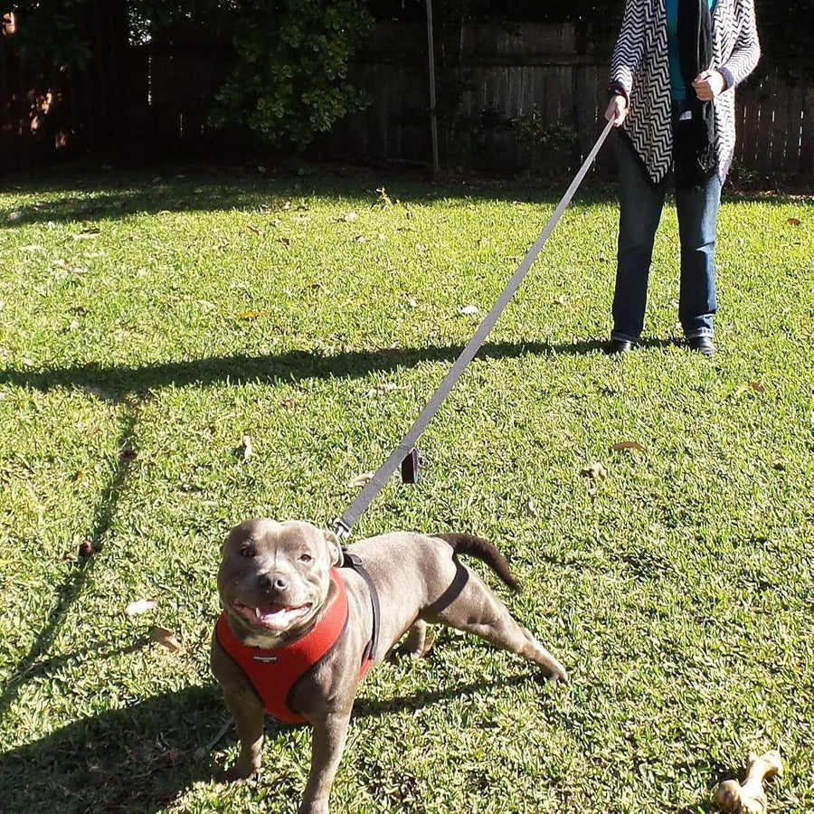 Reflective Dog Leash with Dual Handles - Anti-Shock Nylon Pet Lead for Large Medium Dogs - No-Pull Training Leash - Orange 1.8m