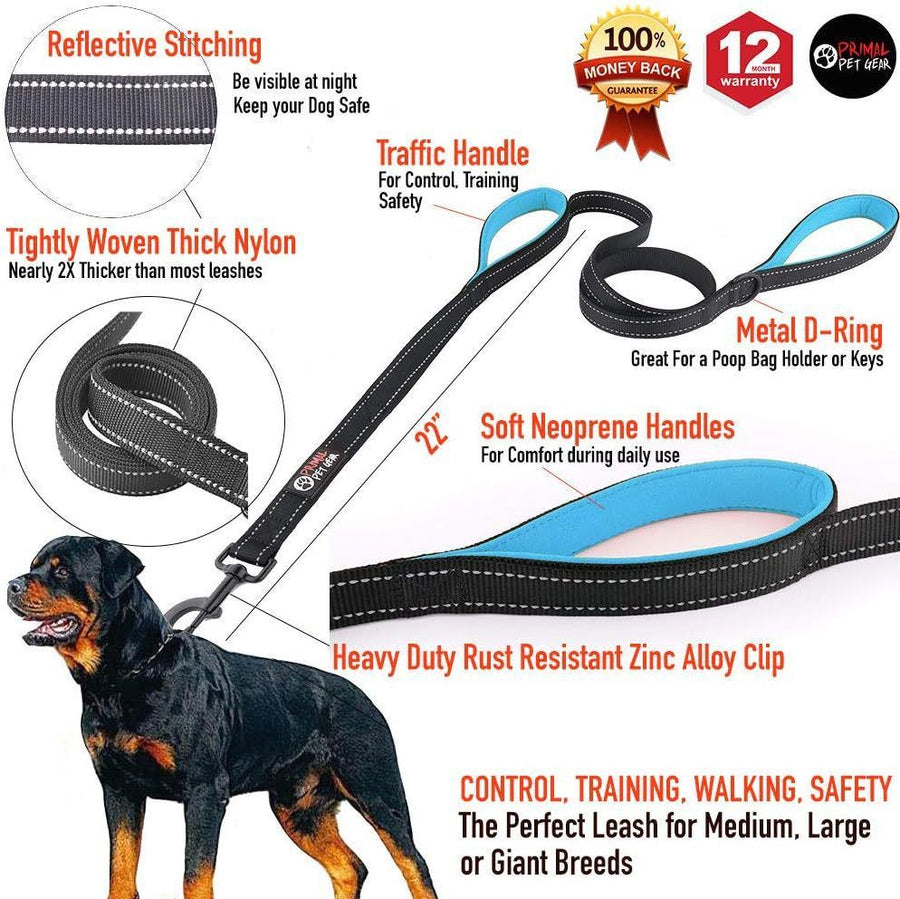 Reflective Dog Leash with Dual Handles - Anti-Shock Nylon Pet Lead for Large Medium Dogs - No-Pull Training Leash - Fluorescent Green 1.5m