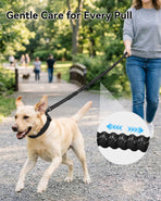 Bungee Dog Leash with Frog Snap Hook - Heavy Duty Elastic Training Lead for Medium Large Dogs - Shock Absorbing Anti-Pull Walking Leash - Black