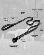 Bungee Dog Leash with Frog Snap Hook - Heavy Duty Elastic Training Lead for Medium Large Dogs - Shock Absorbing Anti-Pull Walking Leash - Black