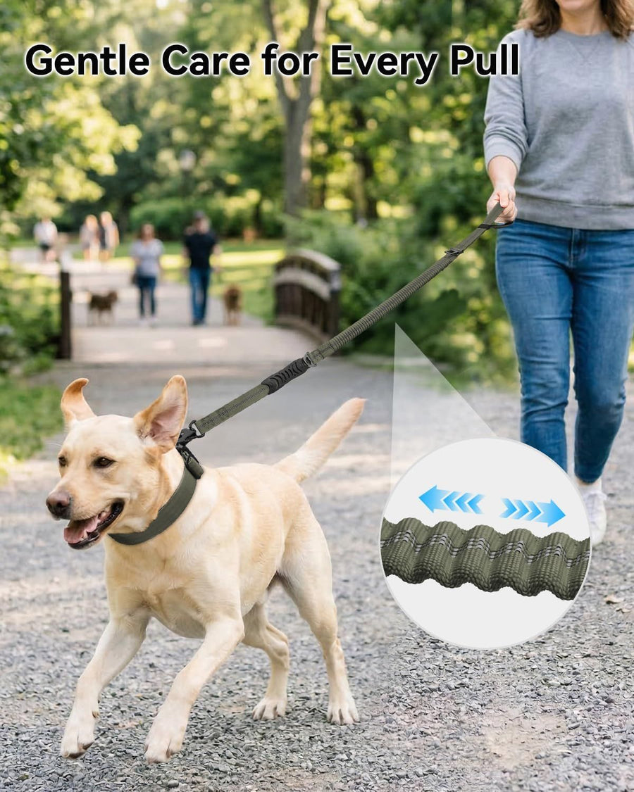 Bungee Dog Leash with Frog Snap Hook - Heavy Duty Elastic Training Lead for Medium Large Dogs - Shock Absorbing Anti-Pull Walking Leash - Olive