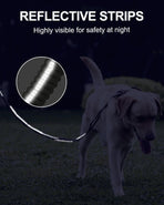 Bungee Dog Leash with Frog Snap Hook - Heavy Duty Elastic Training Lead for Medium Large Dogs - Shock Absorbing Anti-Pull Walking Leash - Olive