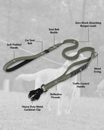 Bungee Dog Leash with Frog Snap Hook - Heavy Duty Elastic Training Lead for Medium Large Dogs - Shock Absorbing Anti-Pull Walking Leash - Olive