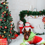 Dog Christmas Outfit，Christmas Pet Clothes Green Classic Dog Hoodie Shirt Cosplay Apparel Christmas Party Cosplay Costume Pet Supplies Accessories for Small Dogs and Cats