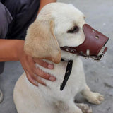 Adjustable PU Leather Dog Muzzle Pet Breathable Anti Bite Bark Chew Muzzles Brown - XL - Side View