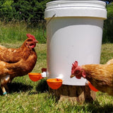 5Pcs Automatic Chicken Waterer Cups Water Feeder for Chicks Duck Goose Orange - Top-Down View