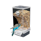 Automatic Cage Bird Feeder Outside - Side View