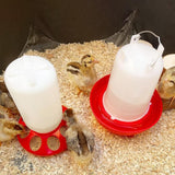 1L Chick Food Feeder and 1.5L Chicken Water Feeder Kit for Chick Aviaries - Top-Down View