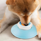 2PCS Non-Slip Slow Feeder Bowl for Dogs & Cats - Front View