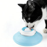2PCS Non-Slip Slow Feeder Bowl for Dogs & Cats - Top-Down View