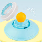 2PCS Non-Slip Slow Feeder Bowl for Dogs & Cats - Low Angle