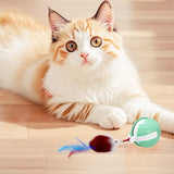 Electric Automatic Moving Rolling Dog Toy Interactive Dog Ball Toy Green - Front View