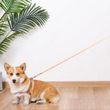 5M RGB Light Pet Leads Retractable Traction Rope Pet Cat Dog Leash Orange - Side View