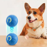 2Pcs 4.5CM Automatic Moving Ball Toy for Cats USB Rechargeable Interactive Vibrating Cat Toy - Front View