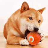 2Pcs 4.5CM Automatic Moving Ball Toy for Cats USB Rechargeable Interactive Vibrating Cat Toy - 45-Degree Angle