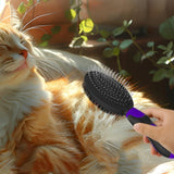 2PCS Pet Grooming Brushes Deshedding Bath Brush for Dogs Cats & Horses Purple - Top-Down View